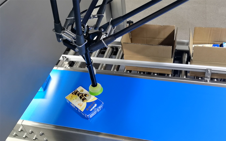 Robotic Unit for Packing and Palletizing